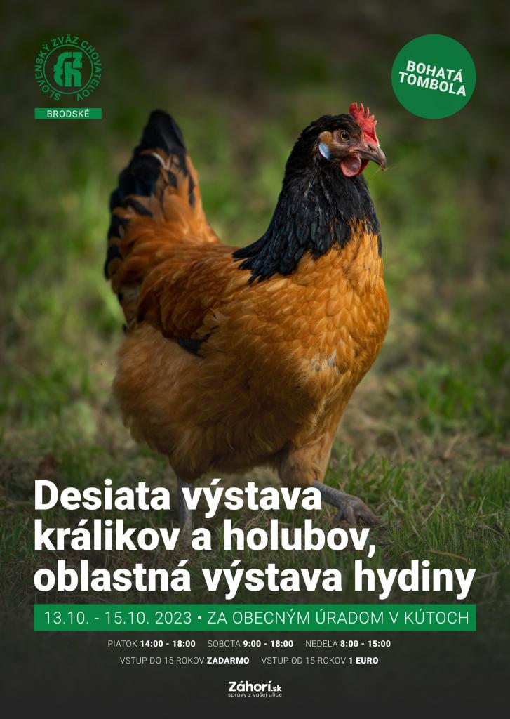 vystava